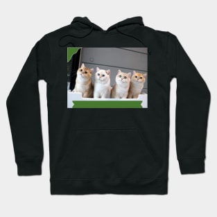 The chubby cats gangs Hoodie